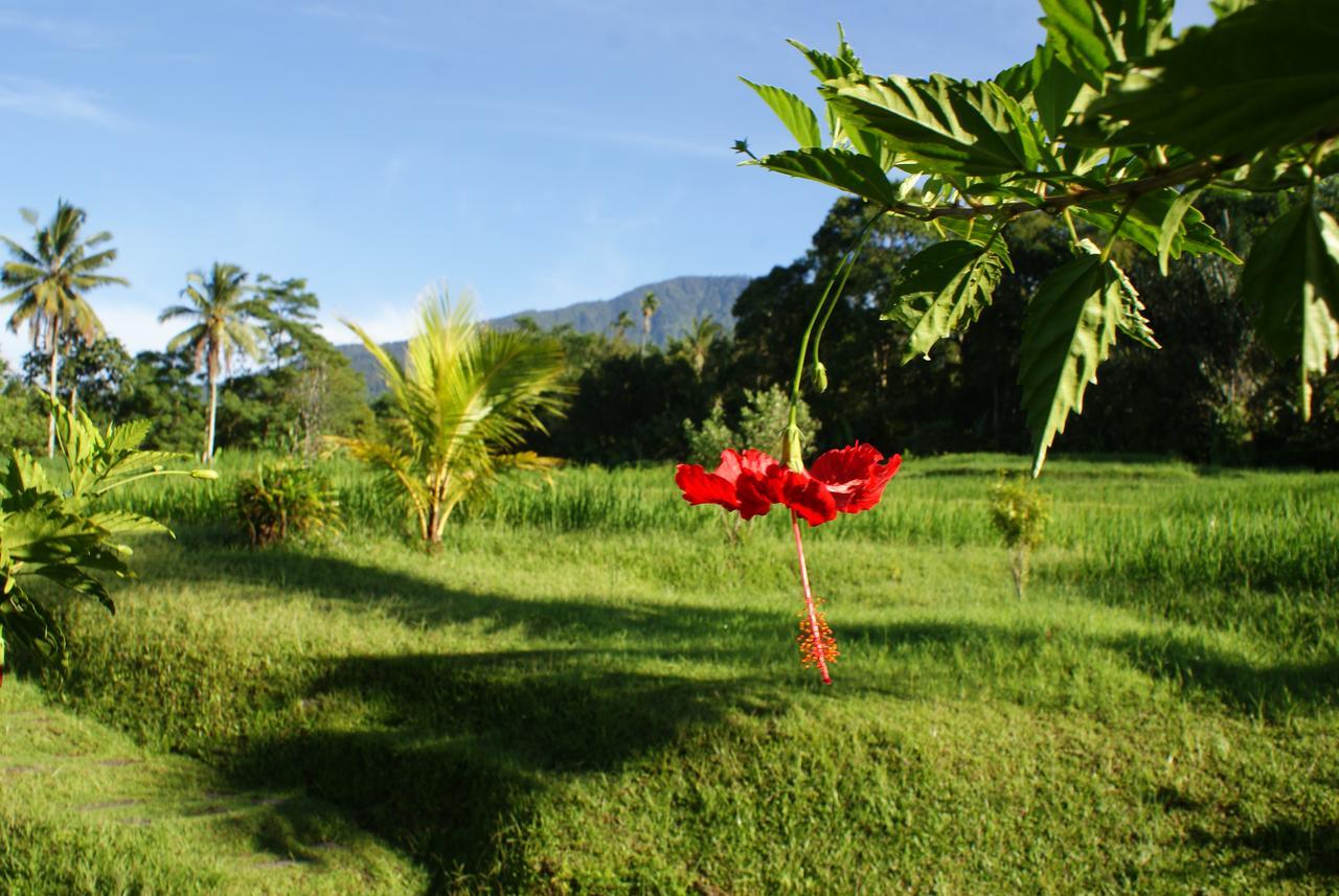 Prana Dewi Mountain Resort Jatiluwih Exterior photo