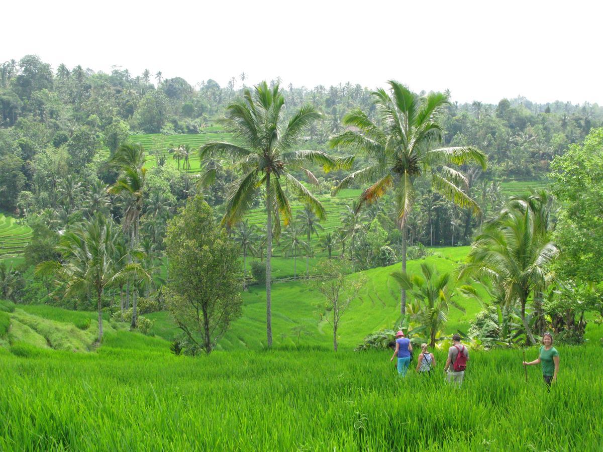 Prana Dewi Mountain Resort Jatiluwih Exterior photo