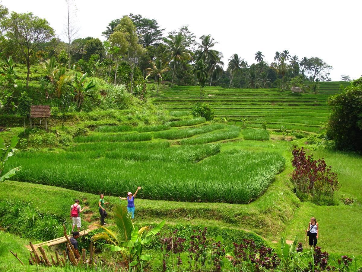 Prana Dewi Mountain Resort Jatiluwih Exterior photo