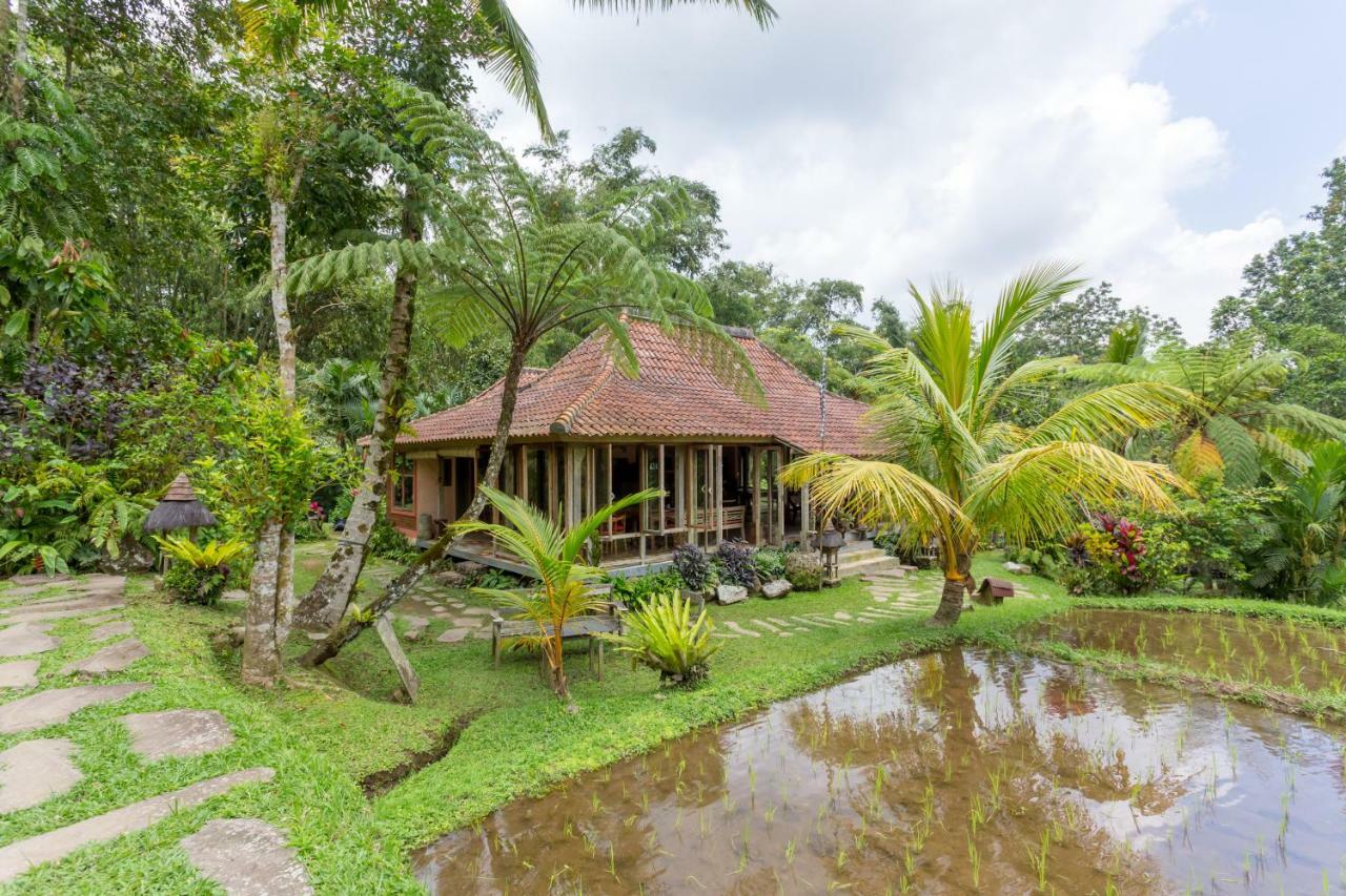 Prana Dewi Mountain Resort Jatiluwih Exterior photo