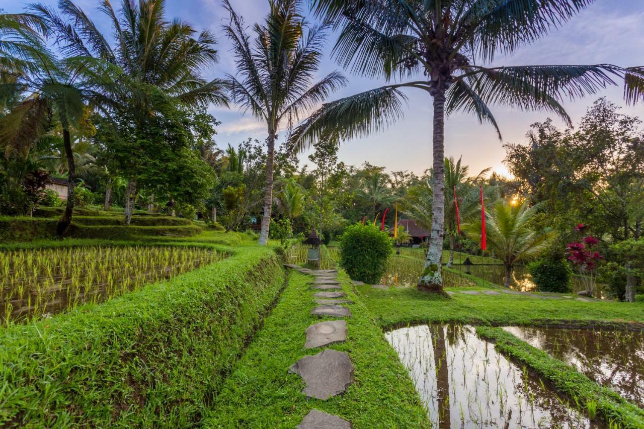 Prana Dewi Mountain Resort Jatiluwih Exterior photo