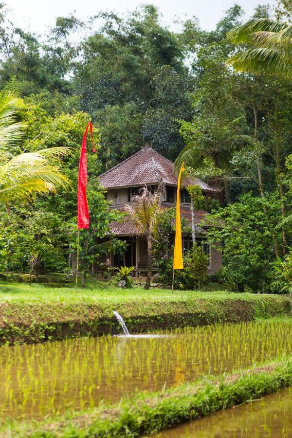 Prana Dewi Mountain Resort Jatiluwih Exterior photo